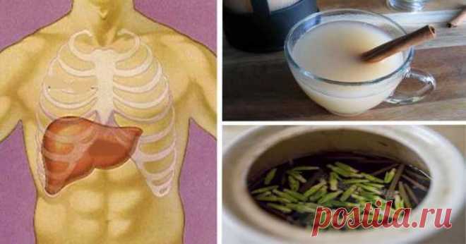 Самые эффективные ночные напитки для быстрой детоксикации печени и сжигания жира! — Сад Заготовка