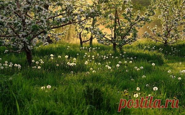 КАКОЙ СЕГОДНЯ ПРАЗДНИК? 24 Марта 2018 г. – Суббота • Час Земли • Международный день борьбы с депрессией • День рождения куриного окорочка • День вверх тормашками • Всемирный день борьбы с туберкулёзом136 лет • День штурманской службы ВВС РФ102 года • Международный день права на установление истины в отношении грубых нарушений прав человека и достоинства жертв7 лет • День фтизиатра • Национальный день посадки деревьев - Уганда • День памяти ради истины и справедливости - Аргентина •…