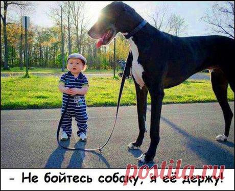 ☑ Зацепило? Добавляйся !☚(ړײ)✌
СВЕТЛАНА ОРЛОВА