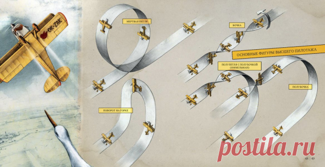 Эта история началась прошлым летом, когда трое друзей — мышонок Арни, воробей Билл и лягушонок Кристиан — собрали всем на удивление собственный автомобиль. И вот, год спустя, у них новые планы — построить самолет и полететь на нем в теплые края. На пути к своей цели друзьям предстоит преодолеть собственный страх, даже рискнуть жизнью, ну и самое главное — разобраться в том, как устроен самолет. Вместе с героями сказки "Как собрать самолет" ( вы узнаете, что такое фюзеляж, лонжероны и…