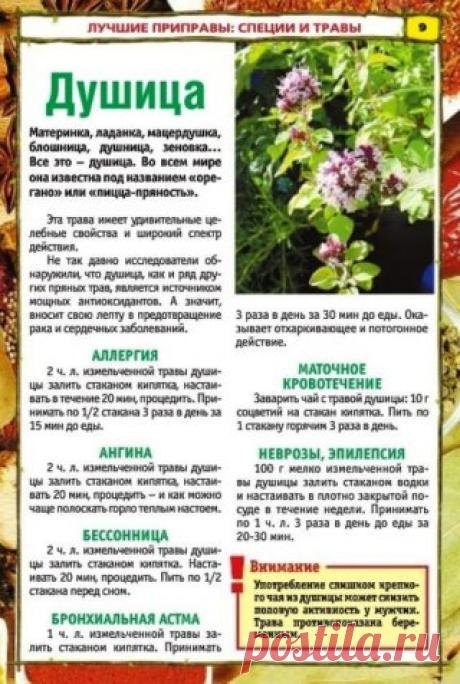 (26) Одноклассники