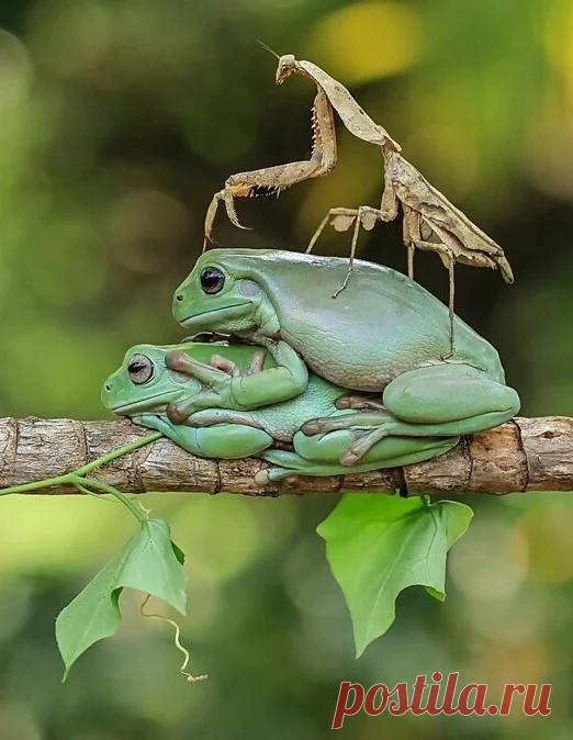 КРАСОТА МГНОВЕНИЙ. – В Google+