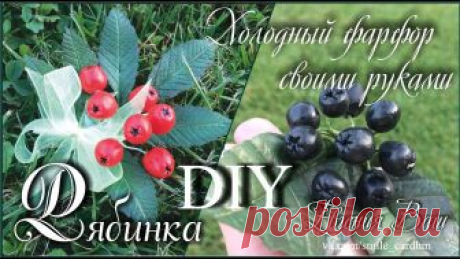 Фарфор без варки. Веточка рябины своими руками. Самый простой способ. Всем привет! В этом видео я покажу, как у меня получилось приготовить холодный фарфор (массу для лепки), как я окрасила его и слепила ягодки. Ягодки получили...