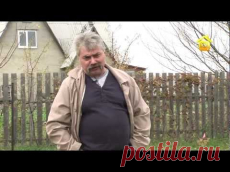Органическое земледелие. Личный опыт // FORUMHOUSE