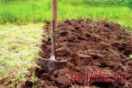 НУЖНА ЛИ ОСЕННЯЯ ПЕРЕКОПКА ЗЕМЛИ