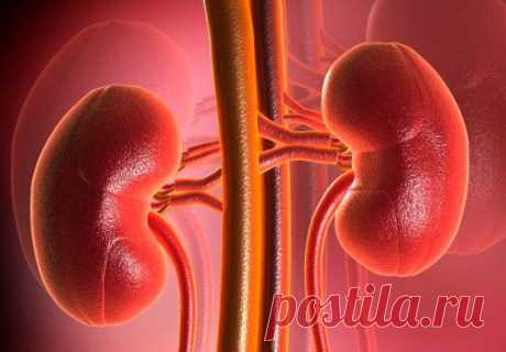 Лечение почек пшеном очень эффективно. Пшено выводит камни и песок из почек, из мочевого пузыря, лечит цистит, помогает при женских заболеваниях. 
Статья посвящена старинным, немного забытым методам лечения почек пшеном, которые можно применять 
и в наши дни. 
1. Стакан пшена промыть теплой водой, высыпать в 3-литровую банку и залить все горячей водой. После этого настаивать при комнатной температуре, укрыв чем-то теплым. На следующий день Вы увидите белую взвесь в воде. Вот она и есть ваше лек