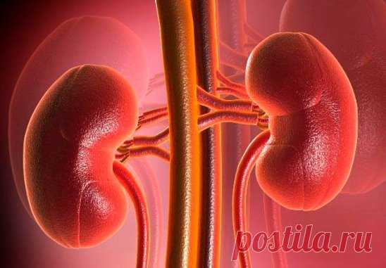 Лечение почек пшеном очень эффективно. Пшено выводит камни и песок из почек, из мочевого пузыря, лечит цистит, помогает при женских заболеваниях. 
Статья посвящена старинным, немного забытым методам лечения почек пшеном, которые можно применять 
и в наши дни. 
1. Стакан пшена промыть теплой водой, высыпать в 3-литровую банку и залить все горячей водой. После этого настаивать при комнатной температуре, укрыв чем-то теплым. На следующий день Вы увидите белую взвесь в воде. Вот она и есть ваше лек