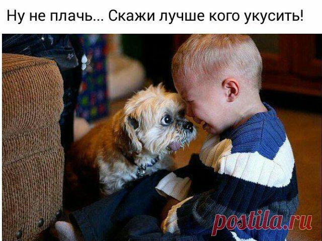 Настоящий друг