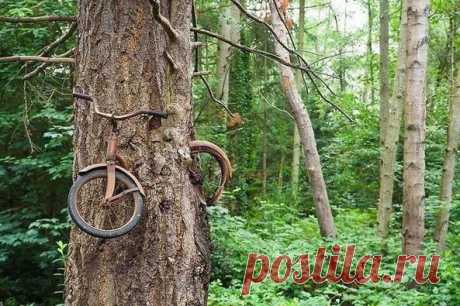 (20+) II M O L e c U L E II | Facebook