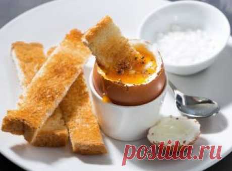 Special Food | Все о правильном питании
