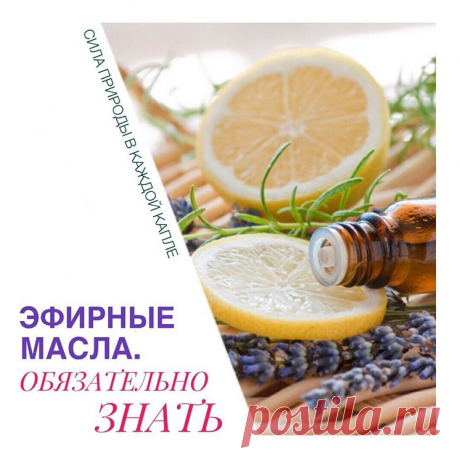 Ароматерапия и все, что с ней связано, сейчас на пике популярности. Это не удивительно - мы наконец-то поняли, что химические препараты и антибиотики  во многих случаях можно заменить природными «помощниками» - эфирными маслами.  Обонятельная система человека - одна из самых удивительных. Наши рецепторы способны различать аж 30 тысяч ароматов, а ещё «выбирать» аромат, необходимый нашему организму для ...