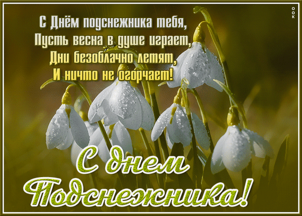 Сегодня с Днем подснежника
Тебя я поздравляю,
Весна пусть жизни новой
Ворота открывает. Открытки на День подснежника!
