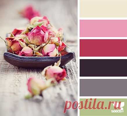for all who ❤ color | dried hues