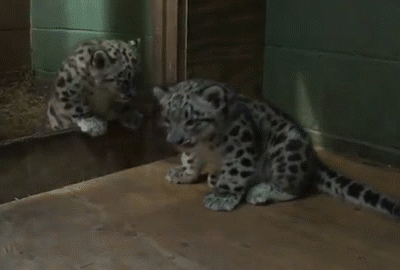 Мой Мир@Mail.Ru