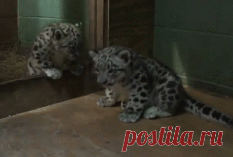 Мой Мир@Mail.Ru