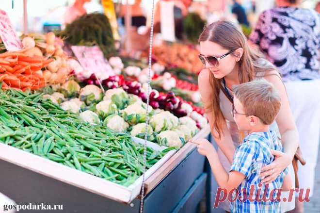 Где лучше всего покупать продукты питания?