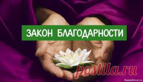 Закон благодарности Благодарность – очень сильная эмоция, которая полностью меняет ваше внутренне состояние и создает вибрации, привлекающие в вашу жизнь еще больше того, за что вы благодарите. Она способна помогать вам стать богаче и успешнее. К сожалению, большинство людей думают о том, чего им не хватает,...