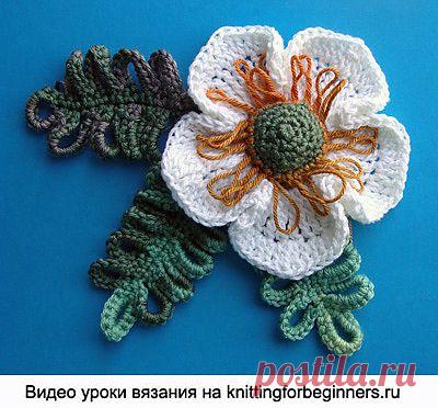 Начинаем вязать – Видео уроки вязания » Вязаные цветы – Видео урок №24 – Морозник