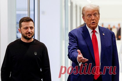 В России указали на демонстрацию Трампом позиции Зеленского как просителя