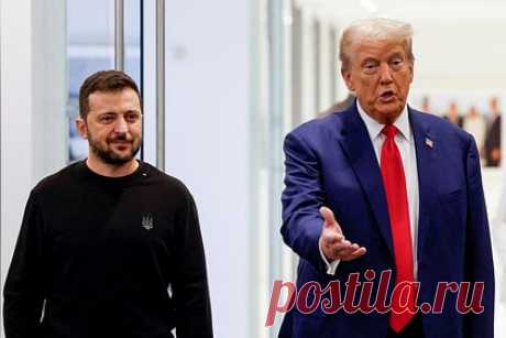 В России указали на демонстрацию Трампом позиции Зеленского как просителя