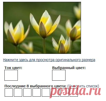 Добро пожаловать в CSS Drive Image Colors Palette Generator! Загрузить изображение для создания цветовой палитры изображения основных цветов. Полезно для быстрого захвата определенного цвета в изображении, для вдохновения.