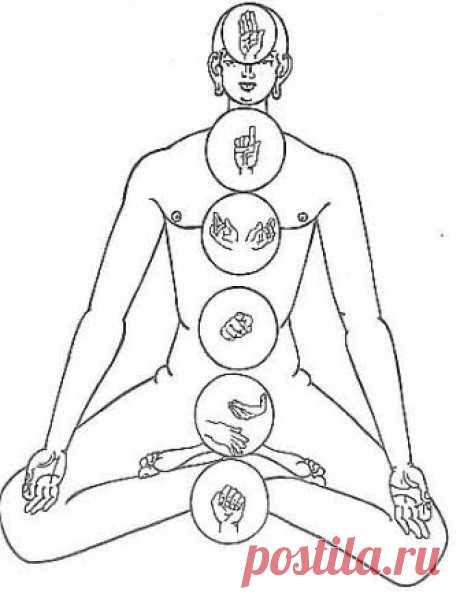 Мудры. Йога для пальцев рук. Описание, фото, назначение