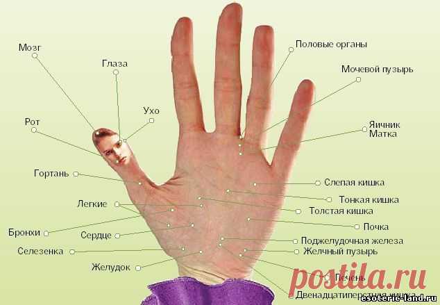 От головной боли, напряжения, тревожности и стрессов – массаж пальцев
