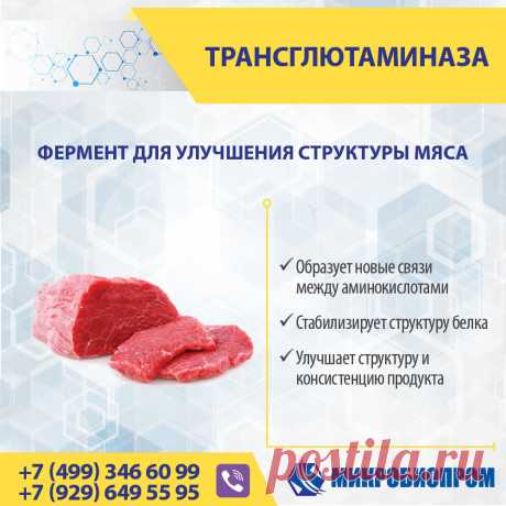 Трансглютаминаза (ТГ) - фермент, органический катализатор химических реакций, связывает белковые молекулы, образуя новые связи между аминокислотами, тем самым стабилизируя структуру белка. Трансглютаминаза усиливает важные функционально-технологические характеристики протеинов, благодаря своей способности катализировать внутри- и межмолекулярное перекрестное сшивание белковых молекул, что позитивно влияет на текстуру продукта.