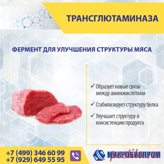 Трансглютаминаза (ТГ) - фермент, органический катализатор химических реакций, связывает белковые молекулы, образуя новые связи между аминокислотами, тем самым стабилизируя структуру белка. Трансглютаминаза усиливает важные функционально-технологические характеристики протеинов, благодаря своей способности катализировать внутри- и межмолекулярное перекрестное сшивание белковых молекул, что позитивно влияет на текстуру продукта.