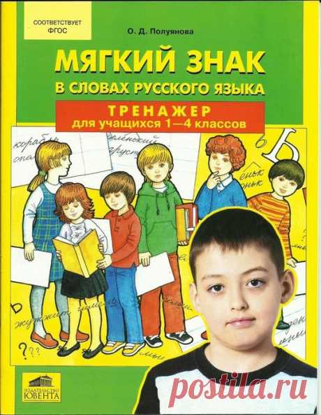 Мягкий знак в словах русского языка. Тренажер для уч-ся 1-4 классов.