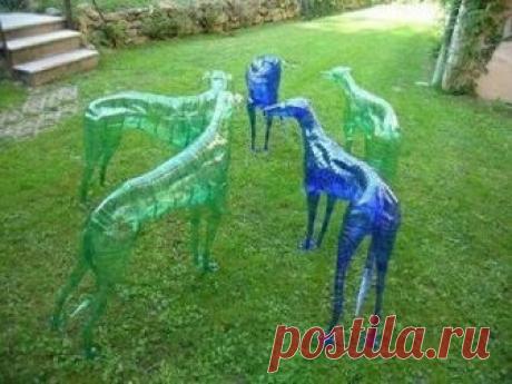 5 сумасшедших идей с бутылками