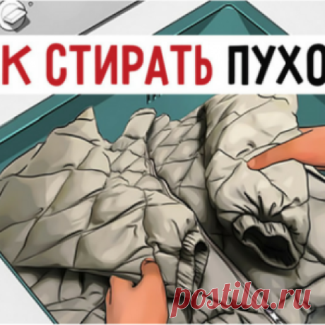 Правила стирки пуховиков в стиральной машине: 7 простых шагов.