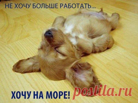 Не хочу больше работать, хочу на море.