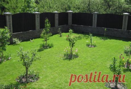 УХОД ЗА МОЛОДЫМИ ПОСАДКАМИ ЯБЛОНИ, ГРУШИ, ВИШНИ И СЛИВЫ Послепосадочная обрезка кроны. Весной (все равно, при весенней или при осенней посадке) обрезают ветви кроны яблонь и груш. После весенней посадки это делают в ближайшие дни, а после осенней посадки — […]