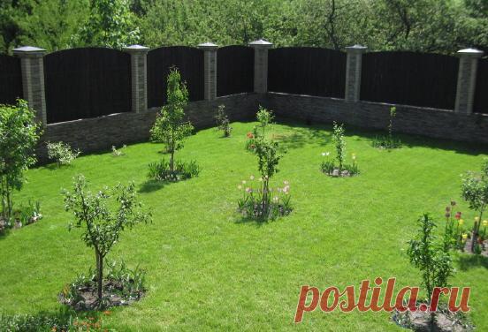 УХОД ЗА МОЛОДЫМИ ПОСАДКАМИ ЯБЛОНИ, ГРУШИ, ВИШНИ И СЛИВЫ Послепосадочная обрезка кроны. Весной (все равно, при весенней или при осенней посадке) обрезают ветви кроны яблонь и груш. После весенней посадки это делают в ближайшие дни, а после осенней посадки — […]