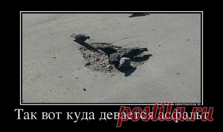 Прикоснись к прекрасному! Демотиваторы