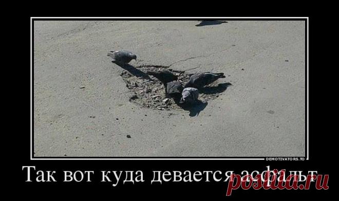 Прикоснись к прекрасному! Демотиваторы