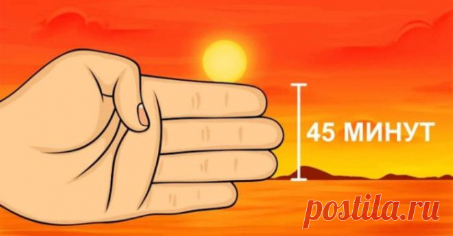 8 школьных «шпаргалок», которые точно пригодятся каждому взрослому