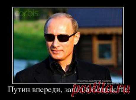 Жириновский: я с удовольствием буду  Новороссию.