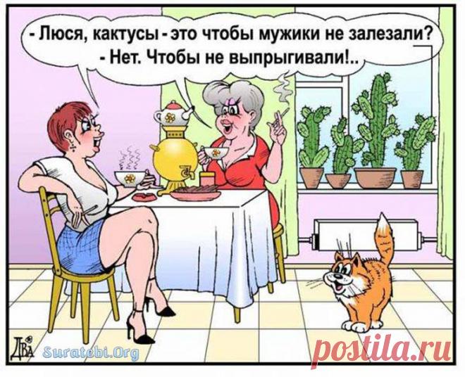 Отборные анекдоты