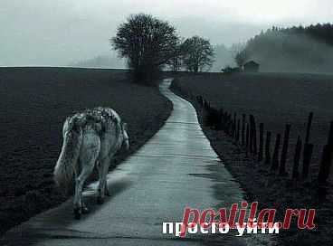 (36) Одноклассники