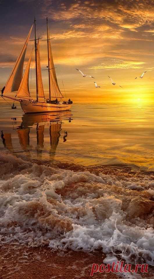 (162) Pinterest