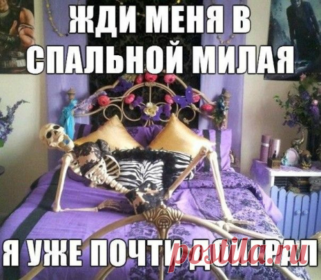 приколы