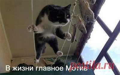 (7) Входящие | Tumblr