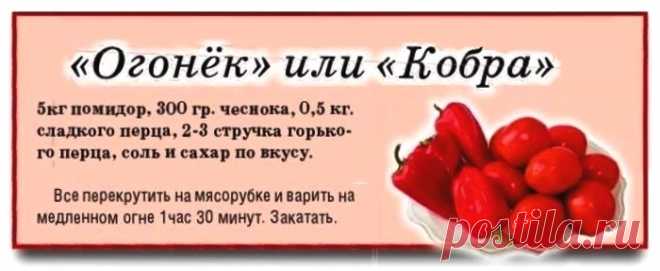 "Огонек" или "Кобра"