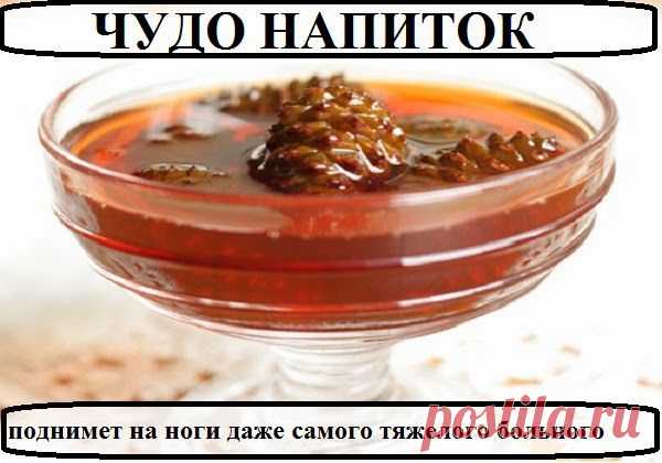 Всё самое интересное!: Лечебный сироп из сосновых шишек.
