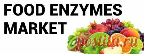 Food Enzymes Market Size, Share | Global Industry Trends, 2027