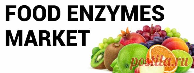 Food Enzymes Market Size, Share | Global Industry Trends, 2027