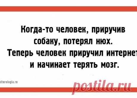 Жизненные наблюдения...))) (открытки)