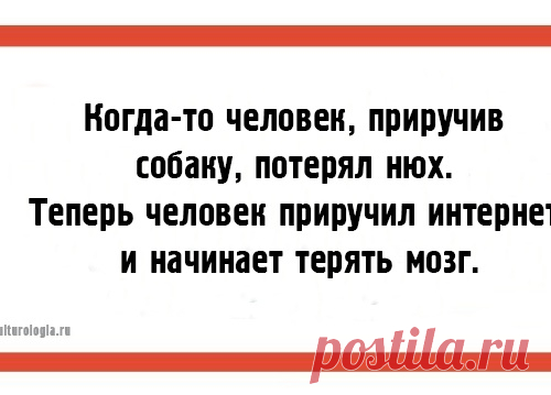 Жизненные наблюдения...))) (открытки)